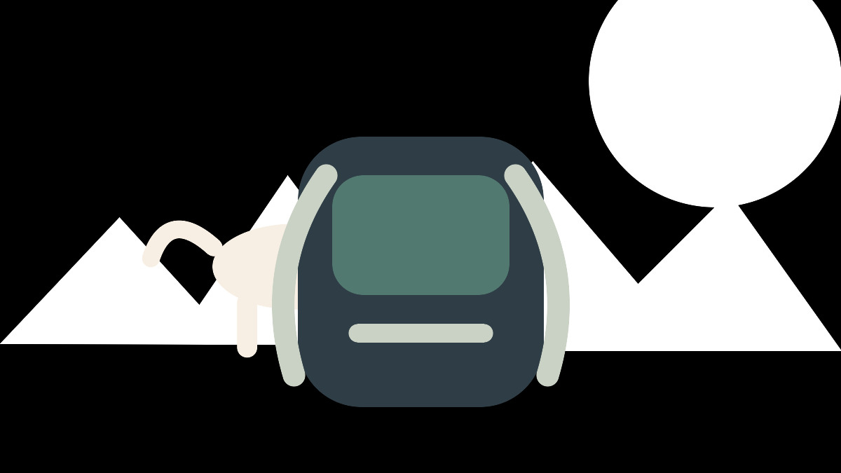 Best Dog Backpack Harnesses for Hiking in NZ (2026)
